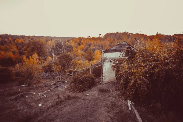 Bela floresta de outono no parque nacional — Fotografia de Stock