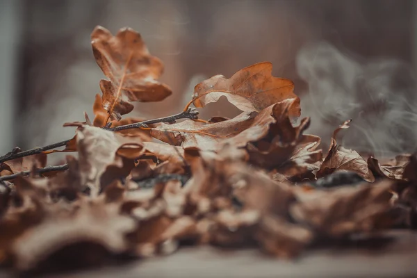 Herbstthema mit Blättern — Stockfoto