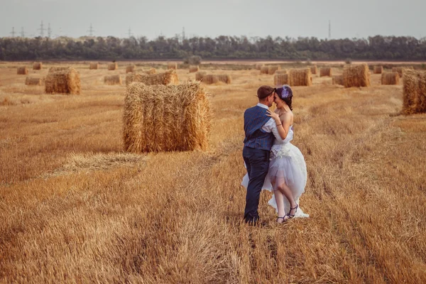 Bride and groom with veil near hay — Stock Photo, Image