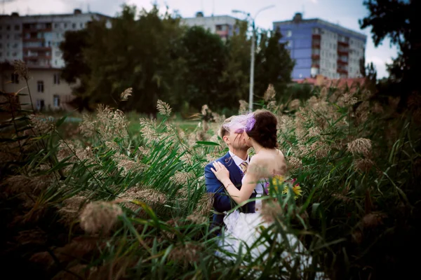 Giovane coppia di sposi attraente che si tiene per mano all'aperto accanto all'albero sul lago — Foto Stock