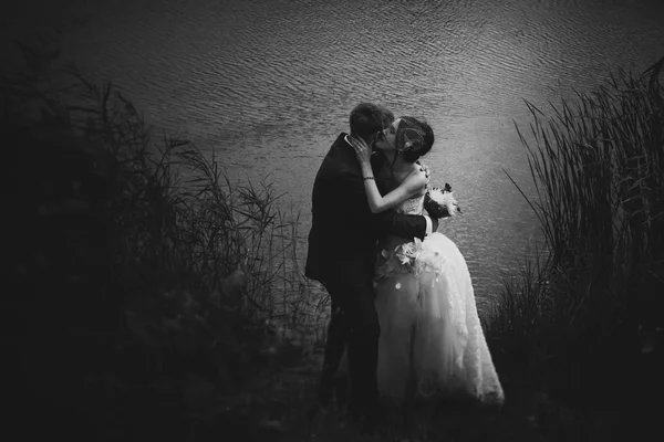 Young attractive bridal couple holding hands outdoors next to tree by lake — Stock Photo, Image