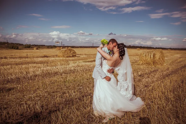 Bela noiva e noivo retrato na natureza — Fotografia de Stock