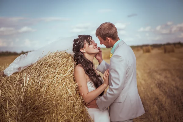 Όμορφη νύφη και γαμπρός πορτρέτο στη φύση — Stok fotoğraf