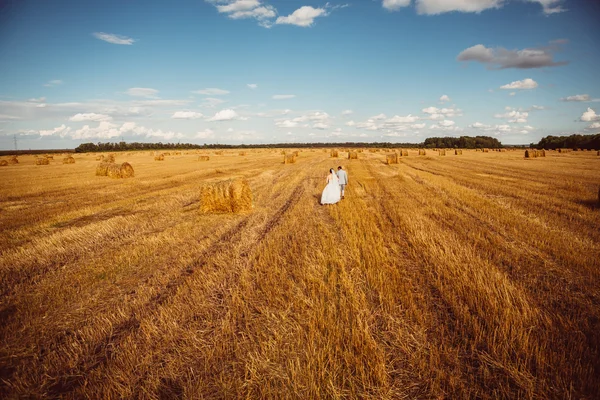 Hermoso retrato de novia y novio en la naturaleza —  Fotos de Stock