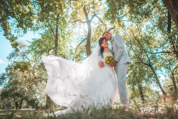Casal casado na floresta abraçando — Fotografia de Stock