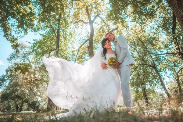 Couple marié dans la forêt embrassant — Photo