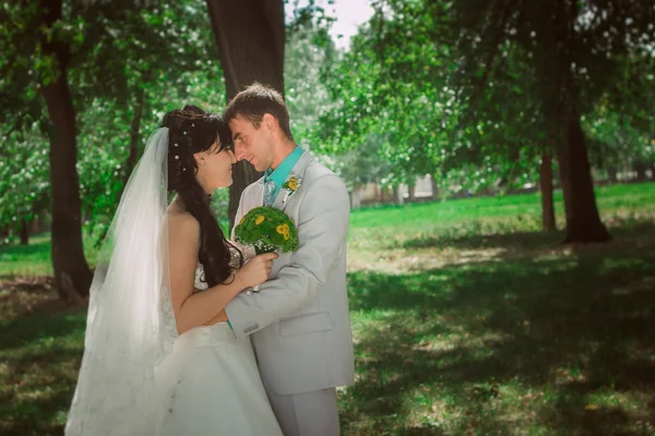 Pareja casada en bosque abrazando — Foto de Stock