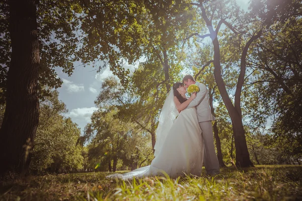 Pareja casada en bosque abrazando — Foto de Stock