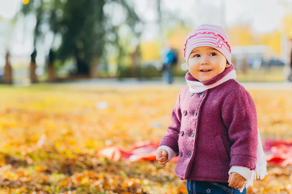 Adorabile bambina con foglie autunnali nel parco di bellezza — Foto Stock