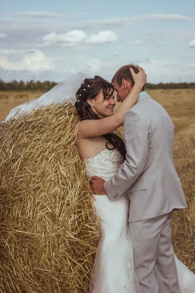 Vackra bruden och brudgummen porträtt i naturen — Stockfoto