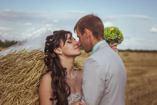 Vackra bruden och brudgummen porträtt i naturen — Stockfoto