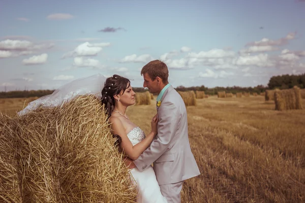 Όμορφη νύφη και γαμπρός πορτρέτο στη φύση — Stok fotoğraf