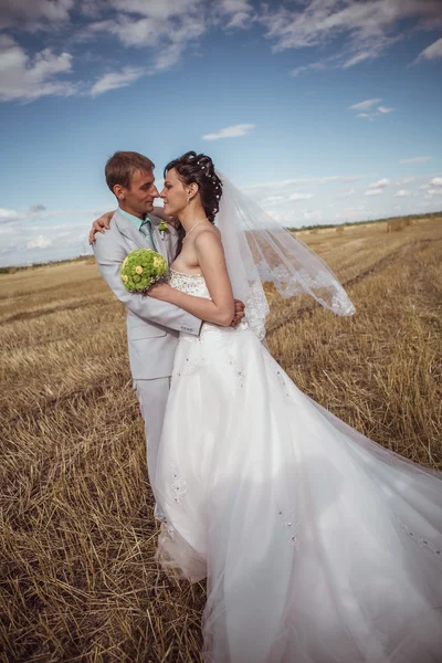 Bela noiva e noivo retrato na natureza — Fotografia de Stock