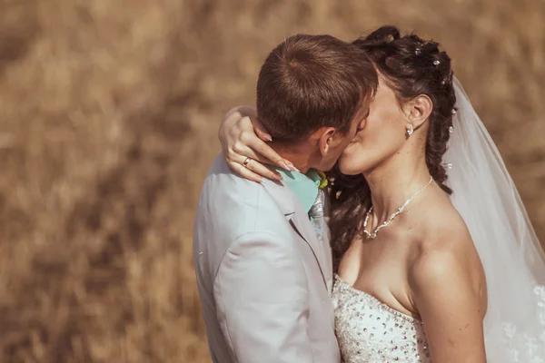 Bellissimi ritratti di sposa e sposo in natura — Foto Stock