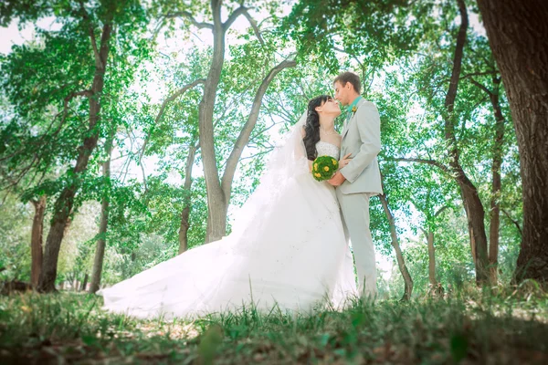 Pareja casada en bosque abrazando — Foto de Stock