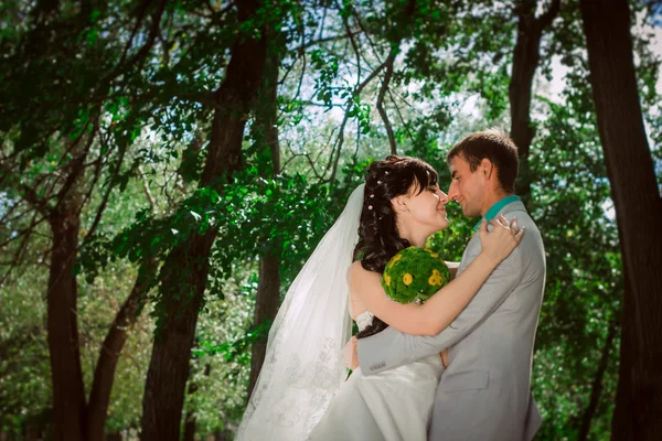 Pareja casada en bosque abrazando — Foto de Stock