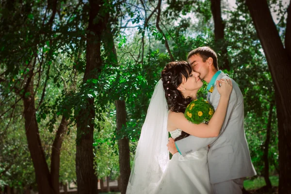 Pareja casada en bosque abrazando —  Fotos de Stock