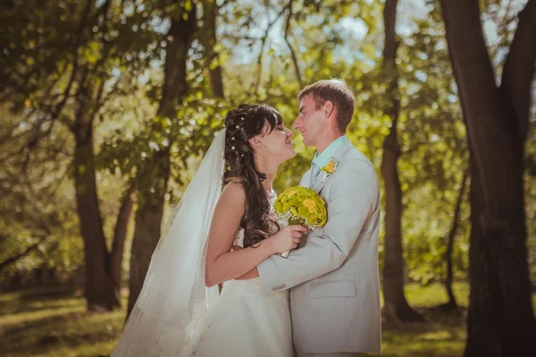 Pareja casada en bosque abrazando — Foto de Stock