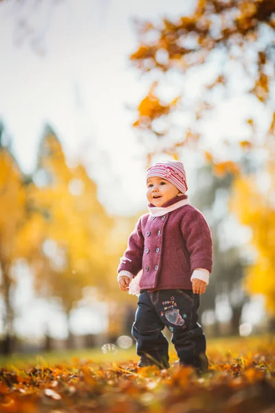 Adorable niña con hojas de otoño en el parque de belleza —  Fotos de Stock