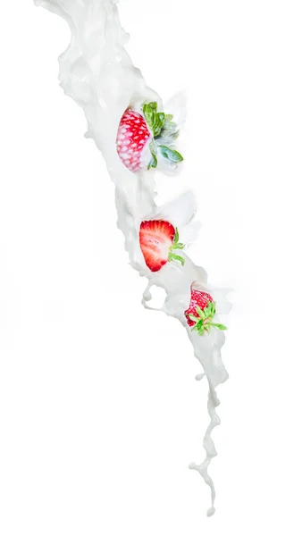 Strawberry falling into milk splashing. Close up view, On white background. — Stock Photo, Image