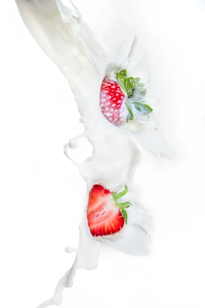 Erdbeere, die ins Milchspritzer fällt. Nahaufnahme, auf weißem Hintergrund. — Stockfoto