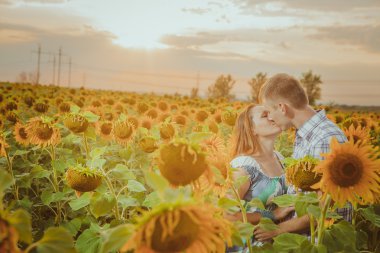 Güzel çift ayçiçeği alanlarında eğleniyor