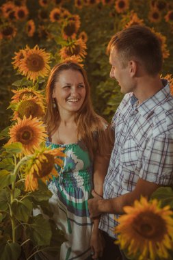 Güzel çift ayçiçeği alanlarında eğleniyor