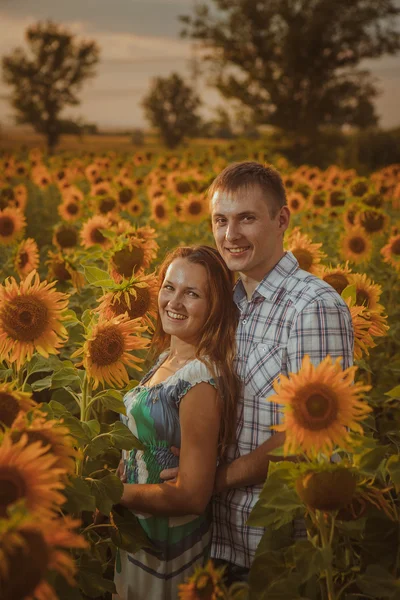 Hermosa pareja divirtiéndose en campos de girasoles — Foto de Stock