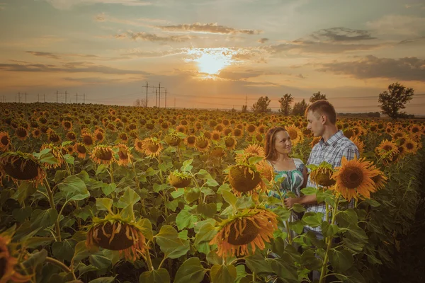 Schönes Paar hat Spaß in Sonnenblumenfeldern — Stockfoto