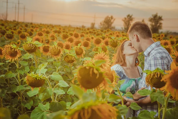 Schönes Paar hat Spaß in Sonnenblumenfeldern — Stockfoto