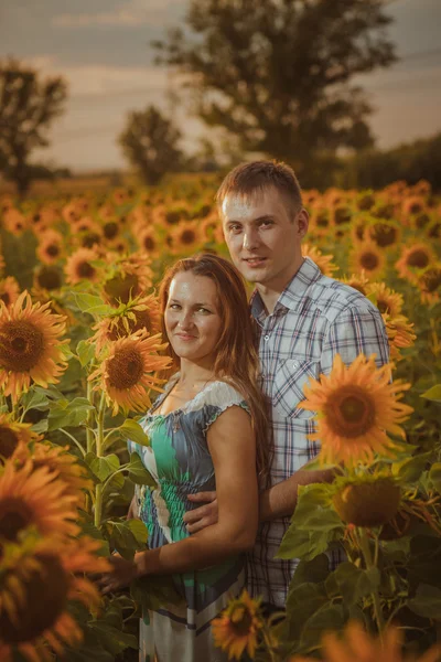 Mooi paar plezier in zonnebloemen velden — Stockfoto