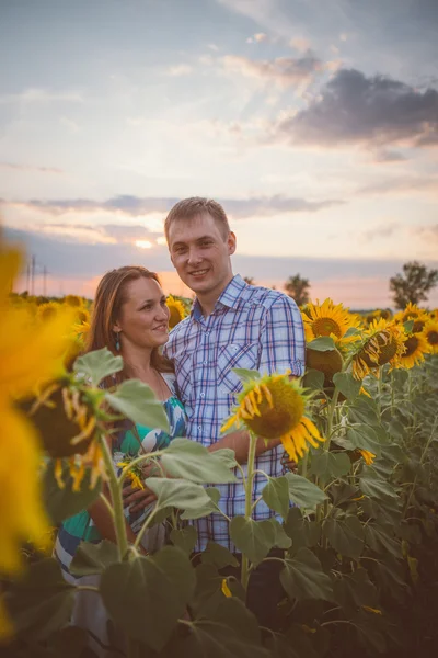 Beau couple s'amusant dans les champs de tournesols — Photo