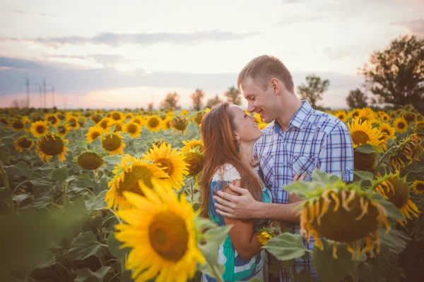 Hermosa pareja divirtiéndose en campos de girasoles —  Fotos de Stock