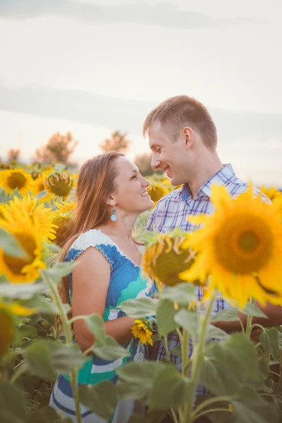 Красивая пара веселится на полях подсолнухов — стоковое фото