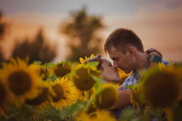 Hermosa pareja divirtiéndose en campos de girasoles —  Fotos de Stock