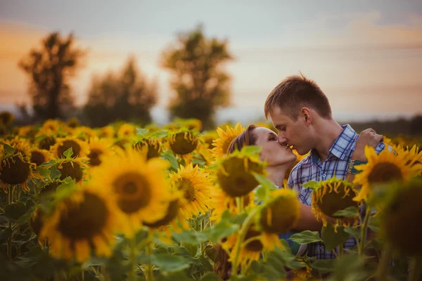 Hermosa pareja divirtiéndose en campos de girasoles —  Fotos de Stock
