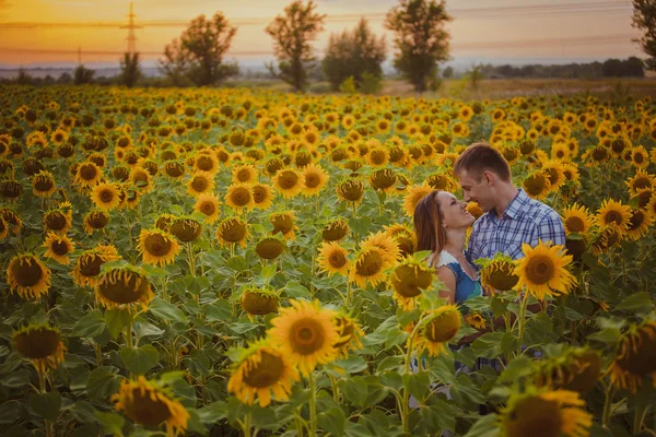 Frumos cuplu având distracție în câmpuri de floarea soarelui — Fotografie, imagine de stoc
