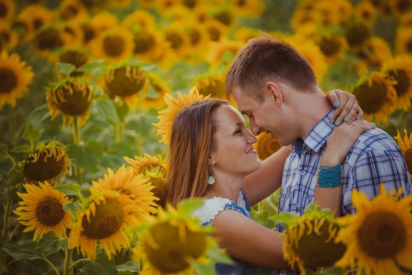 Hermosa pareja divirtiéndose en campos de girasoles —  Fotos de Stock