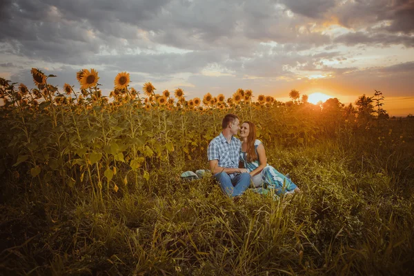 Frumos cuplu având distracție în câmpuri de floarea soarelui — Fotografie, imagine de stoc