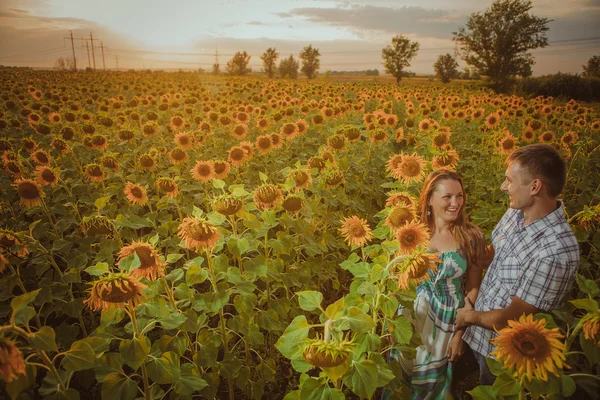 Vackra par att ha roligt i solrosor fält — Stockfoto