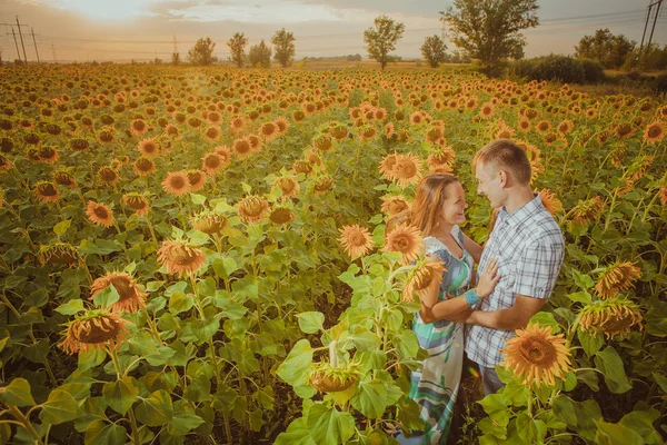 Hermosa pareja divirtiéndose en campos de girasoles —  Fotos de Stock