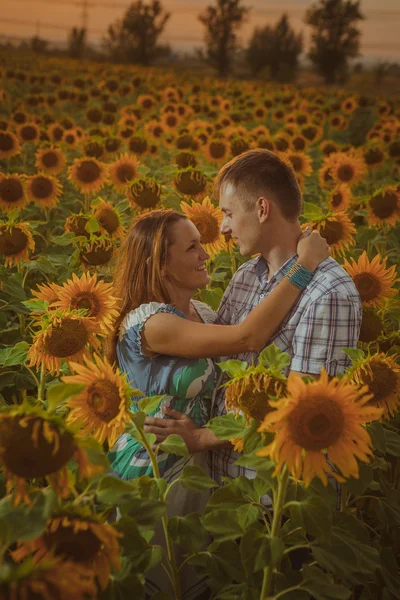 Belo casal se divertindo em campos de girassóis — Fotografia de Stock