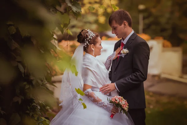 Jovem família, casamento, recém-casados — Fotografia de Stock