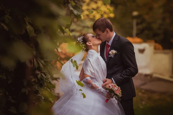 Familia joven, boda, recién casados — Foto de Stock