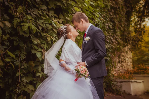 Familia joven, boda, recién casados — Foto de Stock