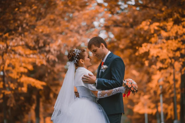 Giovane famiglia, matrimonio, sposi novelli — Foto Stock