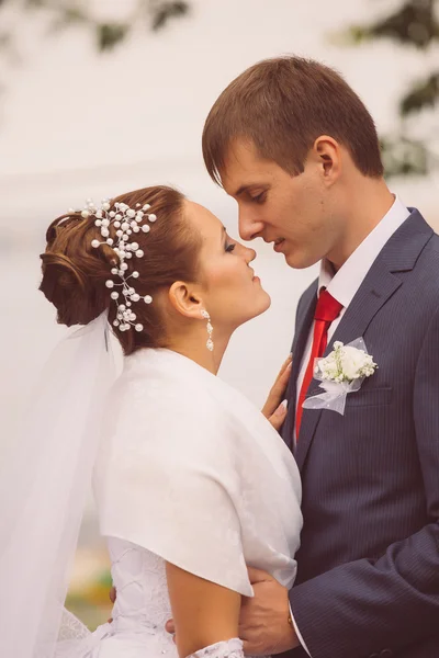 Jovem família, casamento, recém-casados — Fotografia de Stock