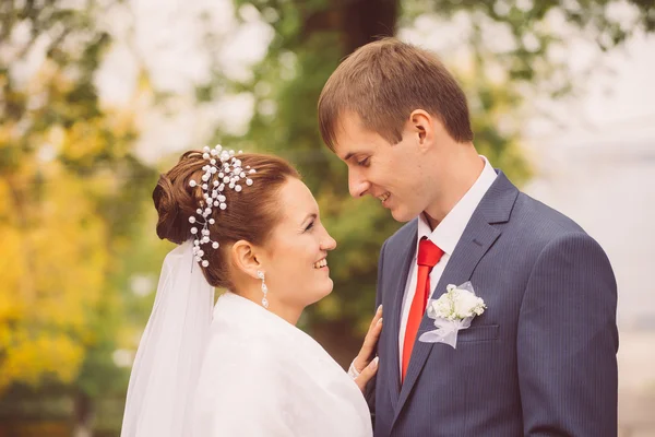 Jovem família, casamento, recém-casados — Fotografia de Stock