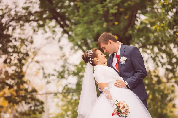 Jonge gezin, huwelijk, pasgetrouwden — Stockfoto