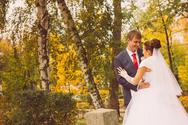 Familia joven, boda, recién casados — Foto de Stock